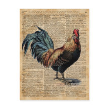 Página Catálogo de Dicionários de Vintage do Cotta