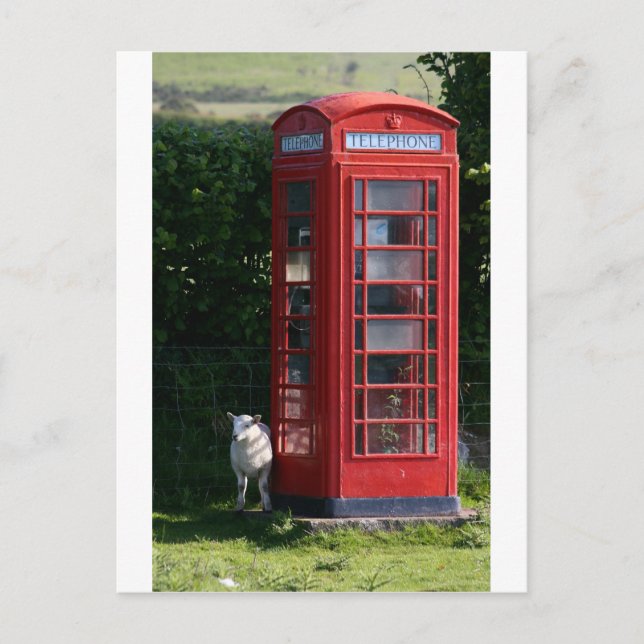 Cartão Postal Página inicial do telefone (Frente)