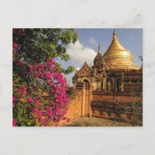 Cartão Postal Pagode Dhamma Yazaka em Bagan (Pagan), Mianmar