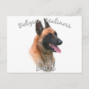Cartão Postal Pai 2 da Bélgica Malinois