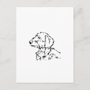 Cartão Postal Pai/Mãe de Dachshund de Pelo Duro