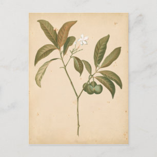 Cartão Postal Painel I do Deco do Cobalto