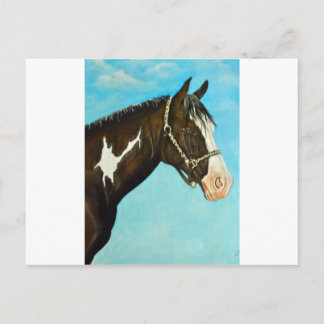 Cartão Postal Paint Horse