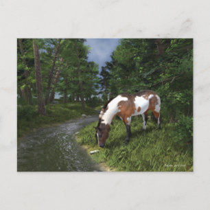 Cartão Postal Paint Horse by the Forest Stream