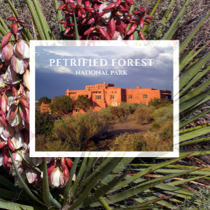 Cartão Postal Painted Desert Inn, Parque Nacional Floresta Petri