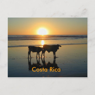 Cartão Postal País da vaca de Bejuco do cartão, Costa Rica