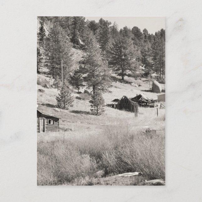 Cartão Postal País de inverno (Frente)