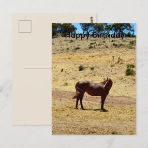 Cartão Postal País_do_Cavalo_Castanho,_Cartão_de_Aniversário