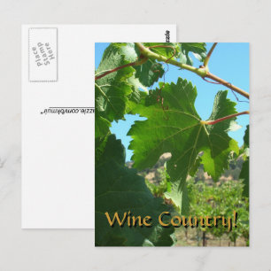 Cartão postal - País do Vinho