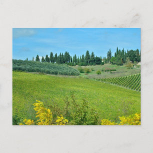 Cartão Postal País do Vinho Italiano