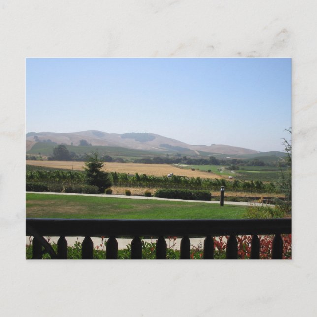 Cartão Postal País Vinho (Frente)