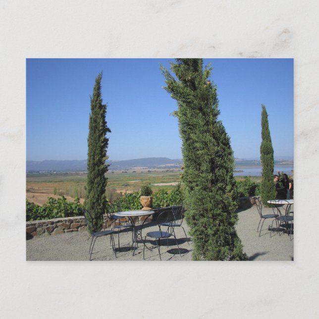 Cartão Postal País Vinho (Frente)