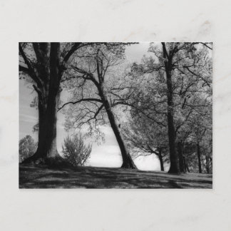 Cartão Postal Paisagem