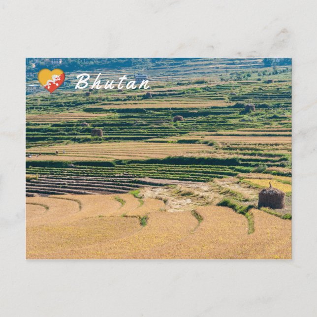 Cartão Postal Paisagem agrícola butanesa (Frente)
