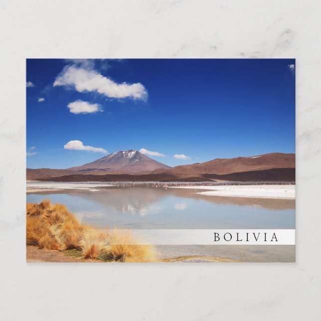 Cartão Postal Paisagem altiplano com vulcão na Bolívia (Frente)