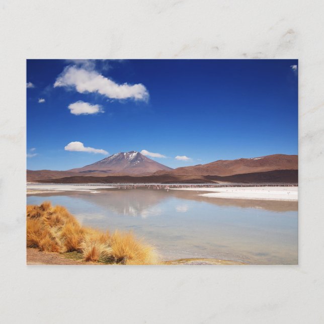Cartão Postal Paisagem altiplano com vulcão na Bolívia (Frente)