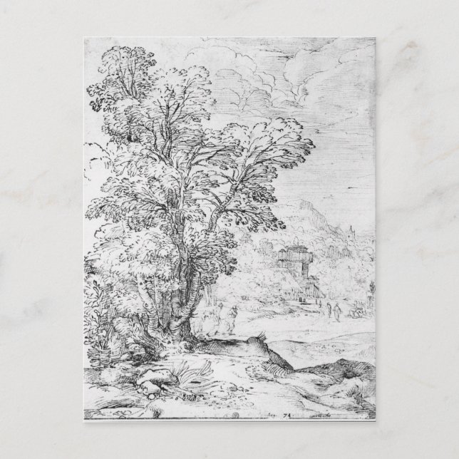 Cartão Postal Paisagem arborizada (Frente)