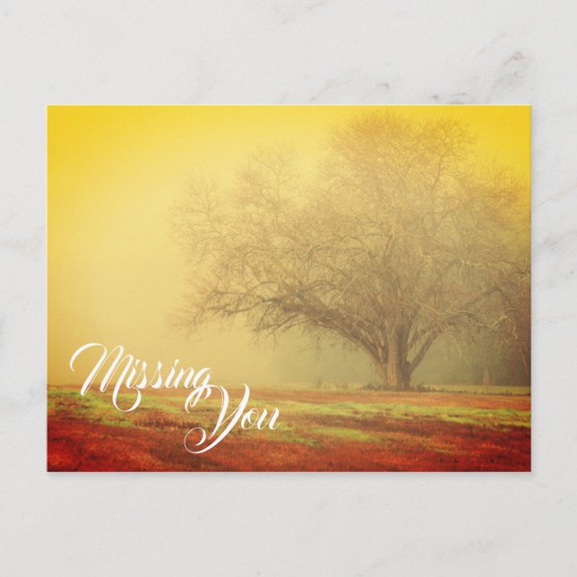 Cartão Postal Paisagem Ausente (Frente)