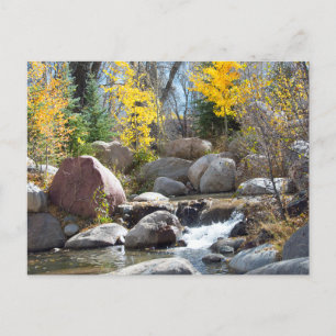 Cartão Postal Paisagem Belo Creek em Aspen, Colorado