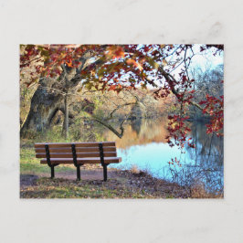 Cartão Postal Paisagem com Foto Bench