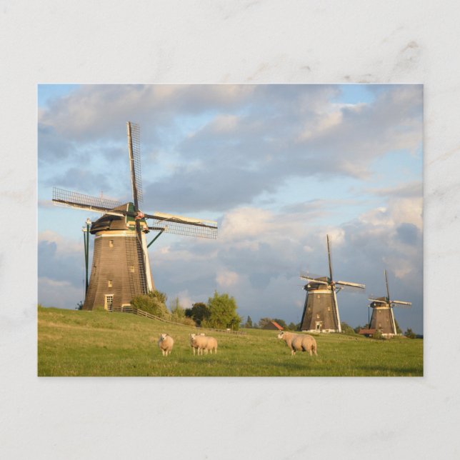 Cartão Postal Paisagem com moinhos de vento e ovelhas (Frente)