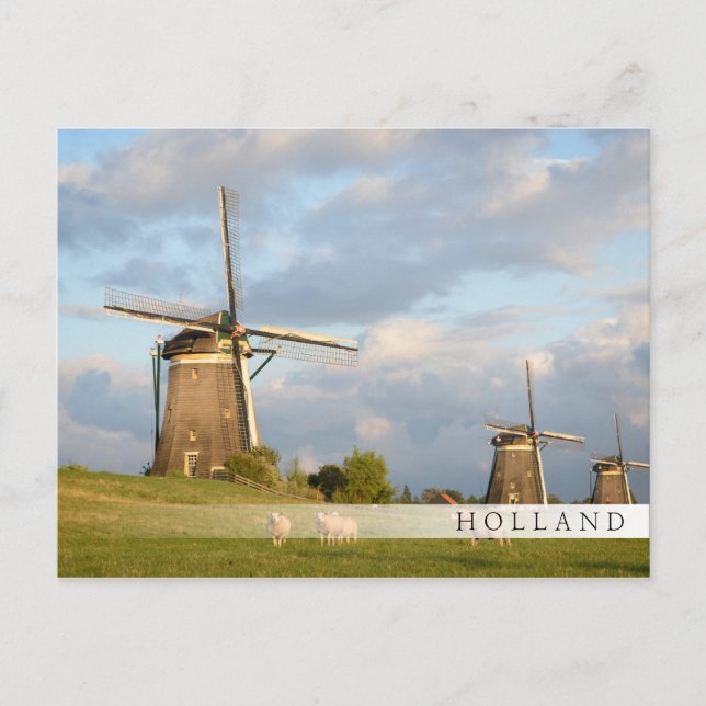 Cartão Postal Paisagem com moinhos de vento e ovinos (Frente)