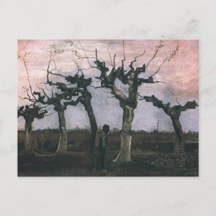Cartão Postal Paisagem com Pollard Willows