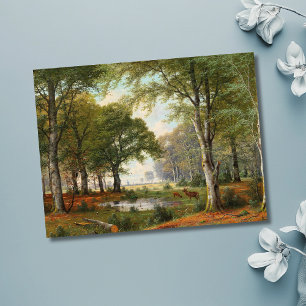 Cartão Postal Paisagem da Floresta da Noite