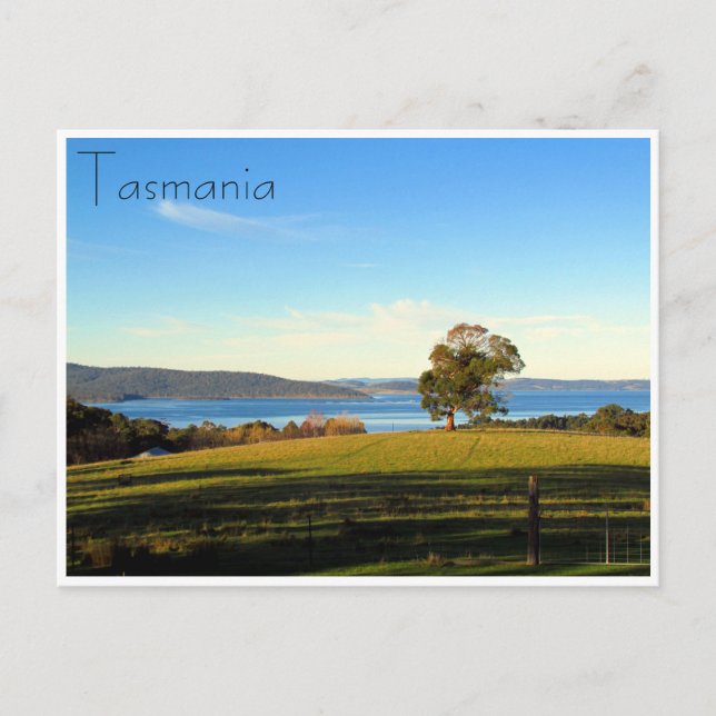 Cartão Postal paisagem da ponte (Frente)