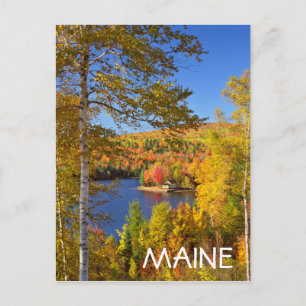 Cartão Postal Paisagem de árvore de outono, Maine