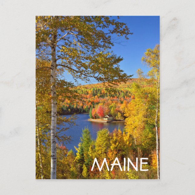 Cartão Postal Paisagem de árvore outonal, Maine (Frente)
