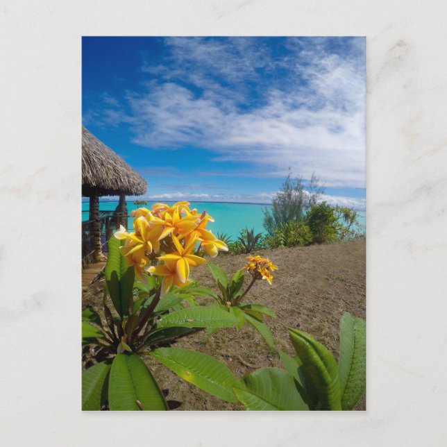 Cartão Postal Paisagem de bora bora (Frente)