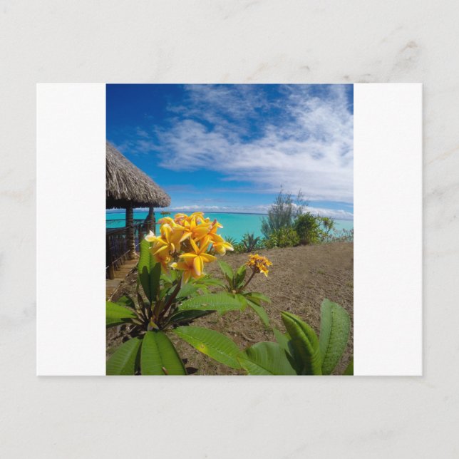 Cartão Postal Paisagem de bora bora (Frente)