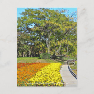 Cartão Postal Paisagem de Chinaberry e de Marigold florrespectiv