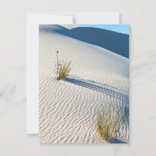Cartão Postal Paisagem de Dunas do Deserto Branco
