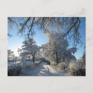 Cartão Postal Paisagem de Inverno: Cheshire