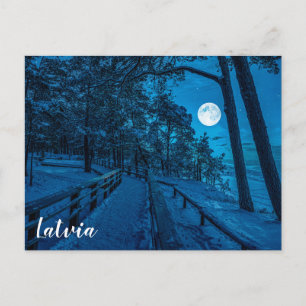 Cartão Postal Paisagem de inverno com floresta de pinheiros cobe