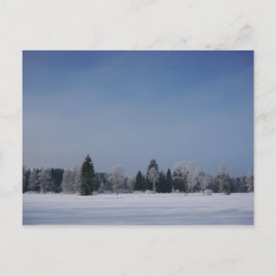 Cartão Postal Paisagem de inverno fria de neve 12