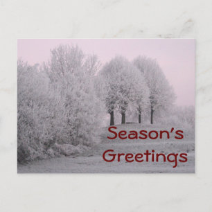 Cartão Postal Paisagem de inverno maravilhosa