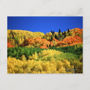 Cartão Postal Paisagem de outono