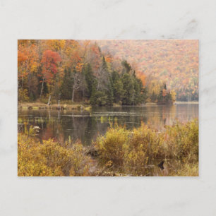 Cartão Postal Paisagem de outono com lago, Vermont, EUA 3