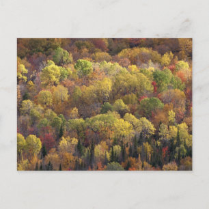 Cartão Postal Paisagem de outono, Vermont, EUA 2