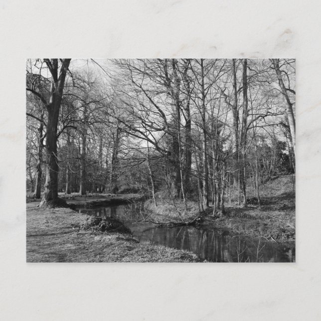 Cartão Postal Paisagem de Parque - Parque de Bute, Cardiff (Frente)