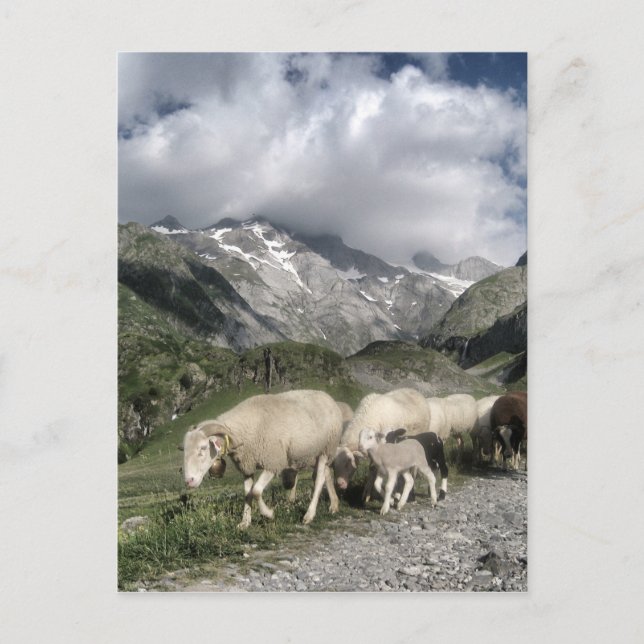 Cartão Postal paisagem de pirenéus (Frente)