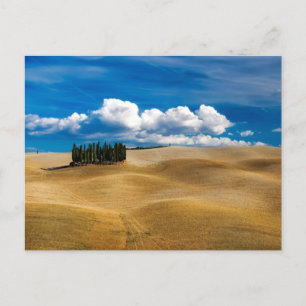 Cartão Postal Paisagem de Plenas da Toscana (Itália)