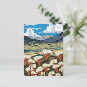 Cartão Postal Paisagem de prado de flores silvestres lindas