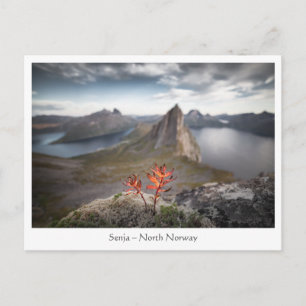 Cartão Postal Paisagem de Senja Norway