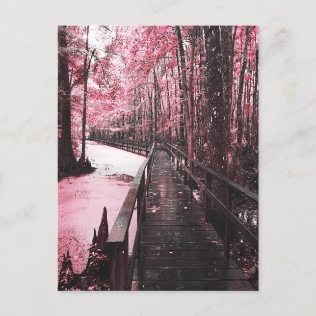 Cartão Postal paisagem de sonho de pântano (Frente)