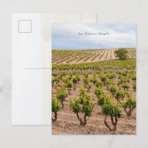 Paisagem de Vinhedo de La Rioja, Espanha
