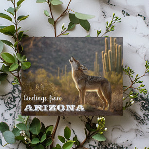 Cartão Postal Paisagem do Cacto do Deserto do Coyote do Arizona 
